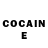 COCAIN Fish Scale Diana Gladun