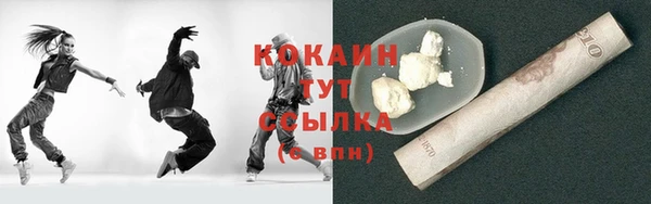крисы Алексин