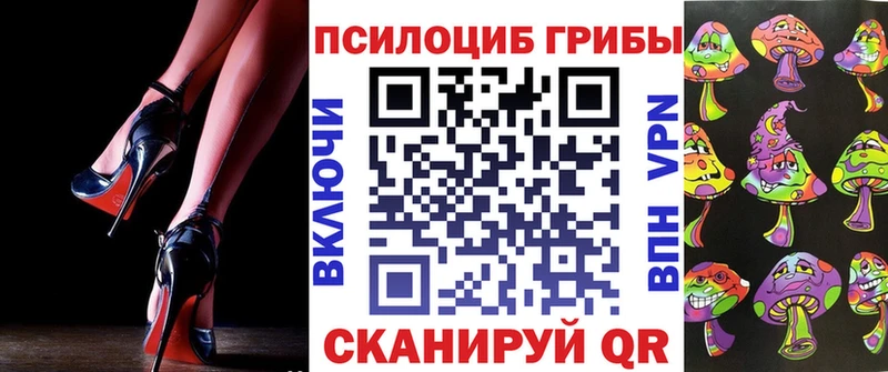 Псилоцибиновые грибы Psilocybine cubensis  Апшеронск 